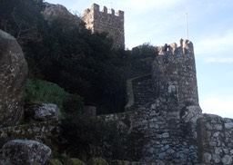 IMG_2897
